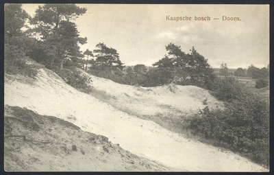 17801 Gezicht op een zandverstuiving bij het Kaapse Bos bij Doorn.